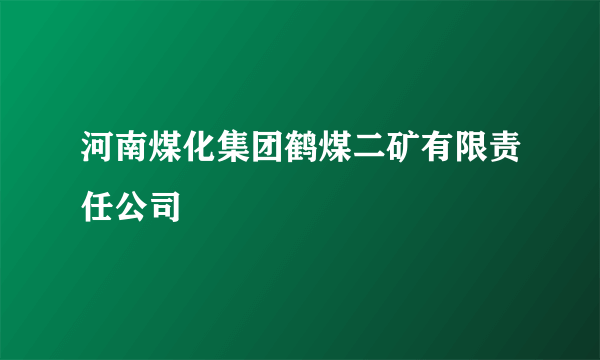 河南煤化集团鹤煤二矿有限责任公司