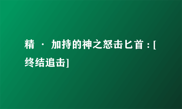 精 · 加持的神之怒击匕首 : [终结追击]