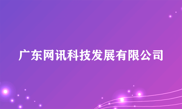 广东网讯科技发展有限公司