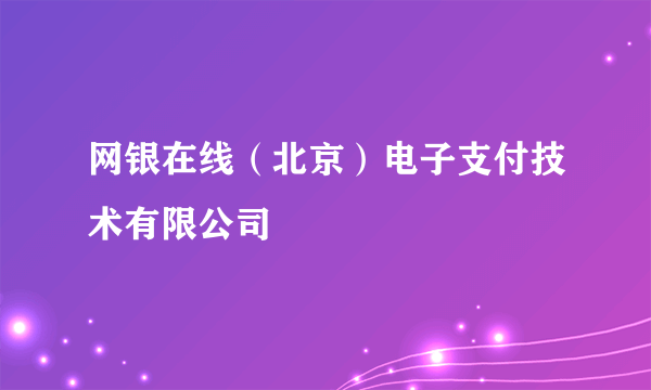 网银在线（北京）电子支付技术有限公司
