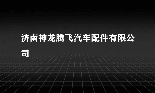 济南神龙腾飞汽车配件有限公司