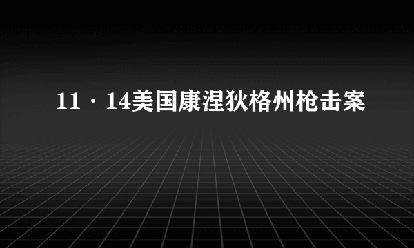 11·14美国康涅狄格州枪击案