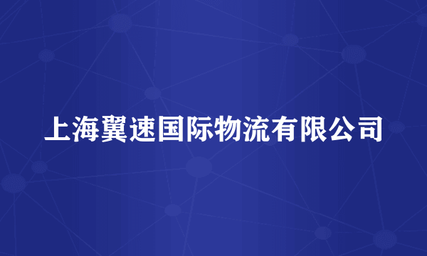 上海翼速国际物流有限公司