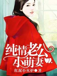 纯情老公小萌妻（红泥小火炉创作的网络小说作品）