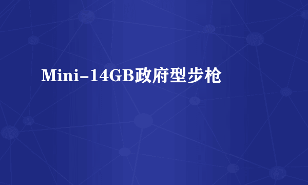 Mini-14GB政府型步枪