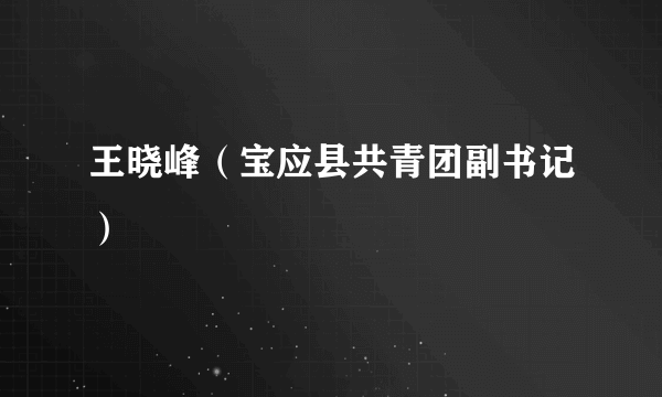 王晓峰（宝应县共青团副书记）