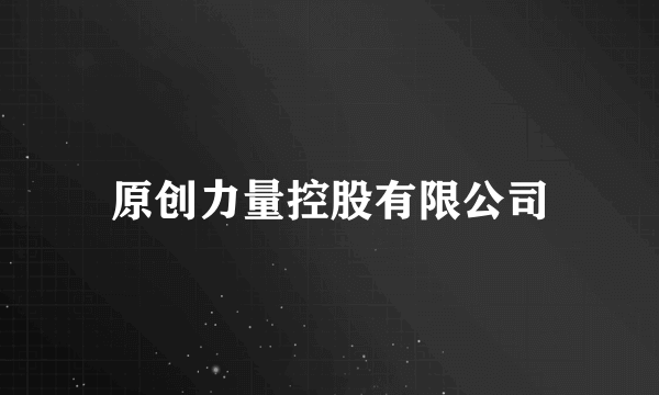 原创力量控股有限公司