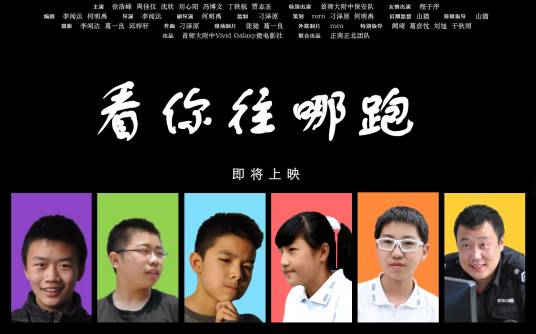 看你往哪跑（2015年李闻达执导的动作电影）