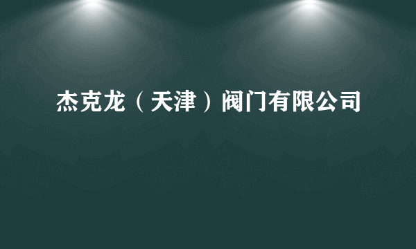 杰克龙（天津）阀门有限公司