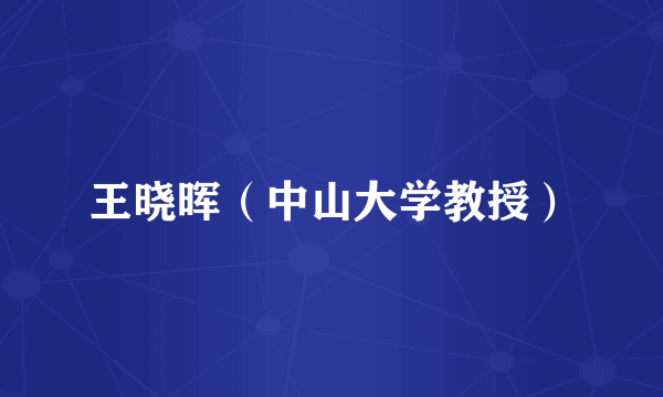 王晓晖（中山大学教授）
