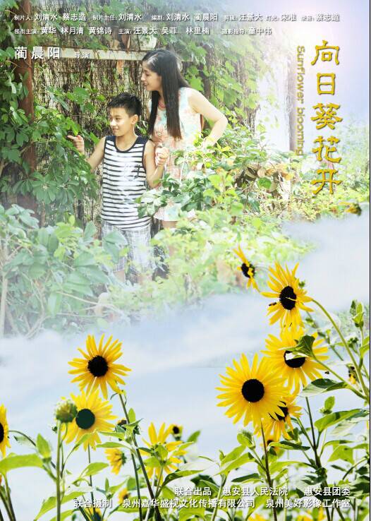 向日葵花开（2014年蔺晨阳执导的公益电影）