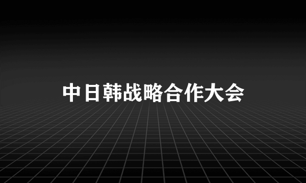 中日韩战略合作大会