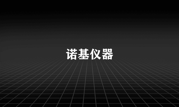 诺基仪器