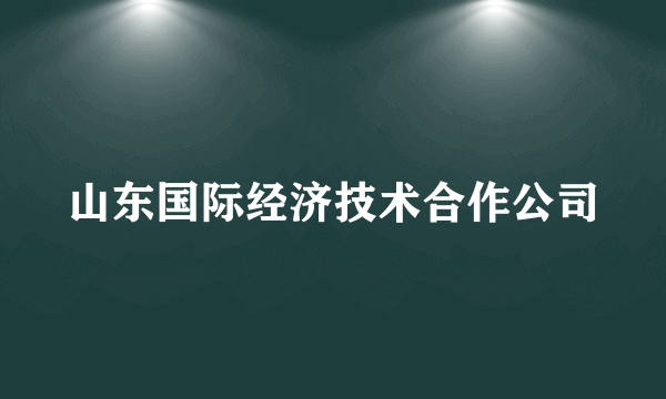 山东国际经济技术合作公司