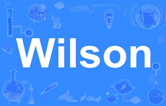 Wilson（英文单词）