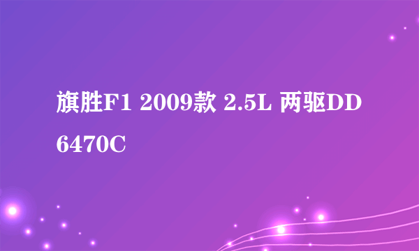 旗胜F1 2009款 2.5L 两驱DD6470C