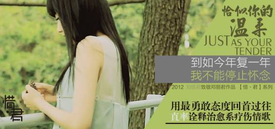 恰似你的温柔（刘惜君演唱歌曲）