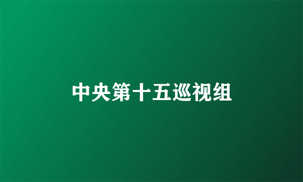 中央第十五巡视组