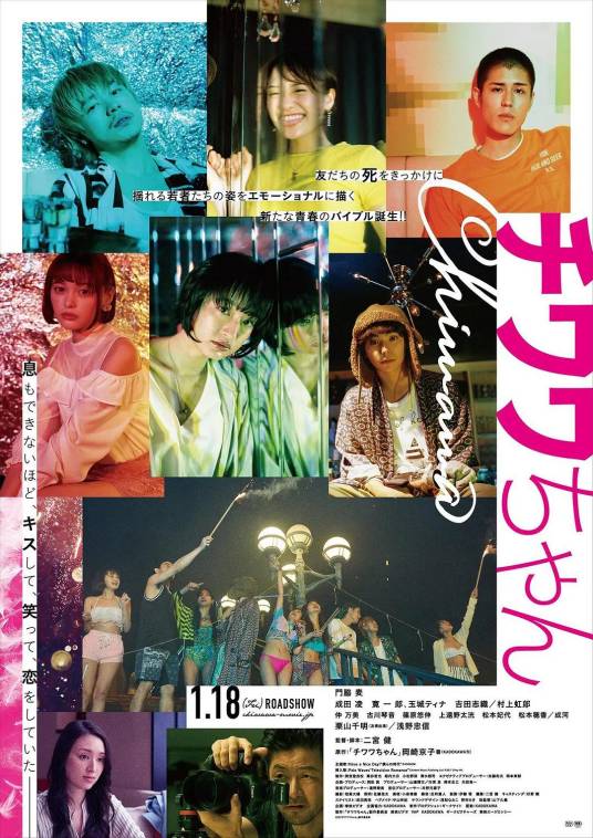 吉娃娃（日本2019年二宫健执导的电影）