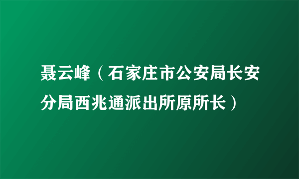 聂云峰（石家庄市公安局长安分局西兆通派出所原所长）