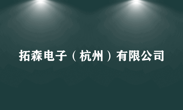 拓森电子（杭州）有限公司