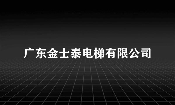 广东金士泰电梯有限公司
