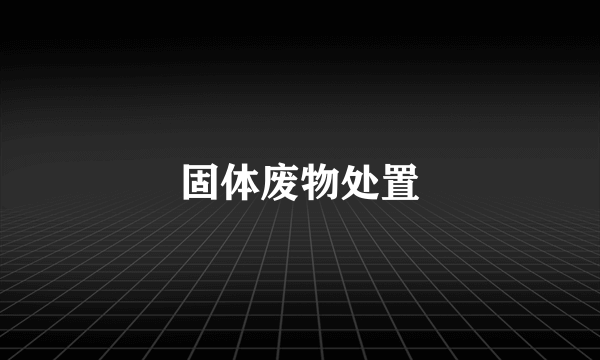固体废物处置