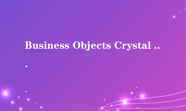 Business Objects Crystal Reports V10 开发版（5用户）