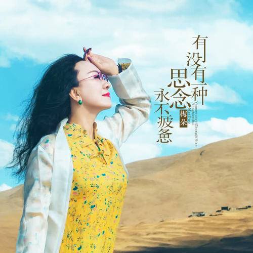 有没有一种思念永不疲惫（梅朵演唱歌曲）