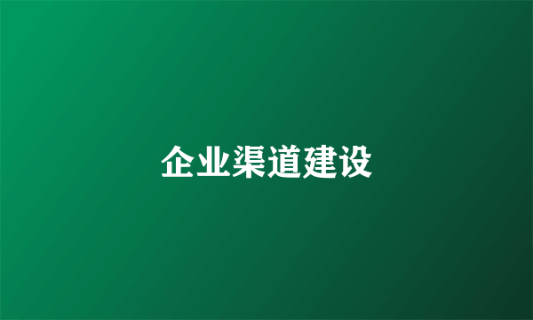 企业渠道建设