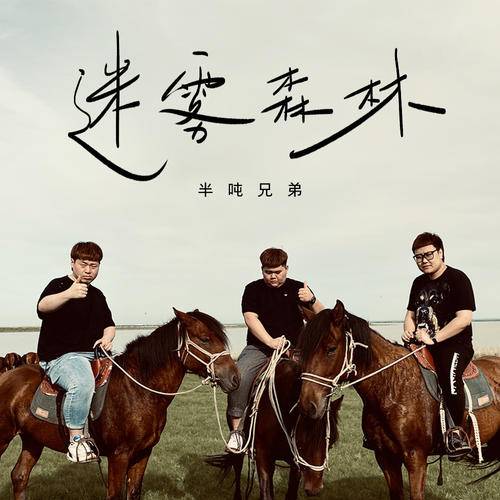 迷雾森林（半吨兄弟演唱歌曲）