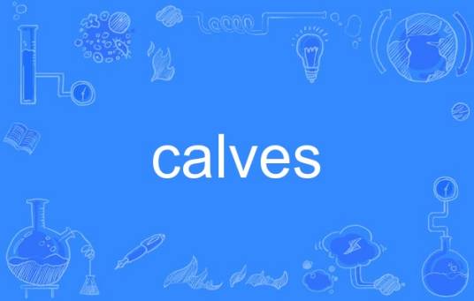 calves
