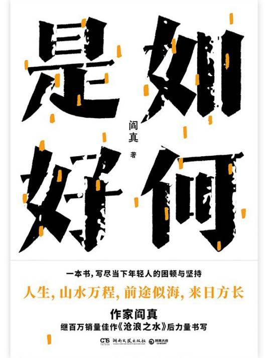 如何是好（阎真著长篇小说）