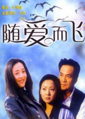 随爱而飞（2001年叶青醇执导的家庭爱情剧）