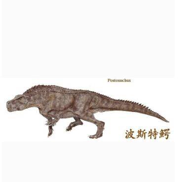 劳氏鳄目