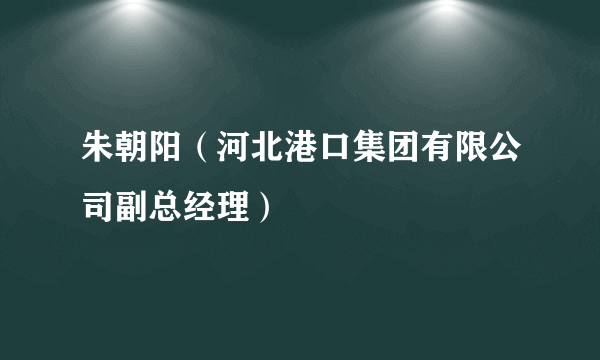 朱朝阳（河北港口集团有限公司副总经理）