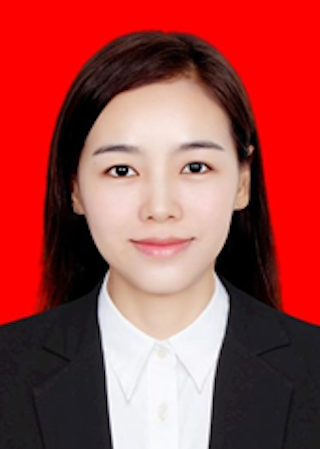 王岚（宜宾职业技术学院人文社会学院副院长）