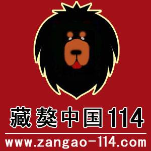 藏獒中国114网