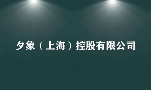 夕象（上海）控股有限公司