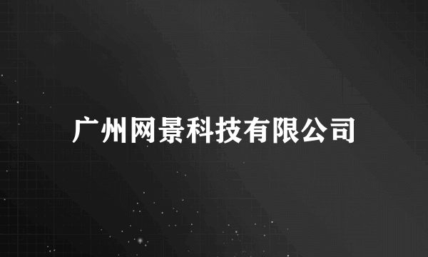 广州网景科技有限公司