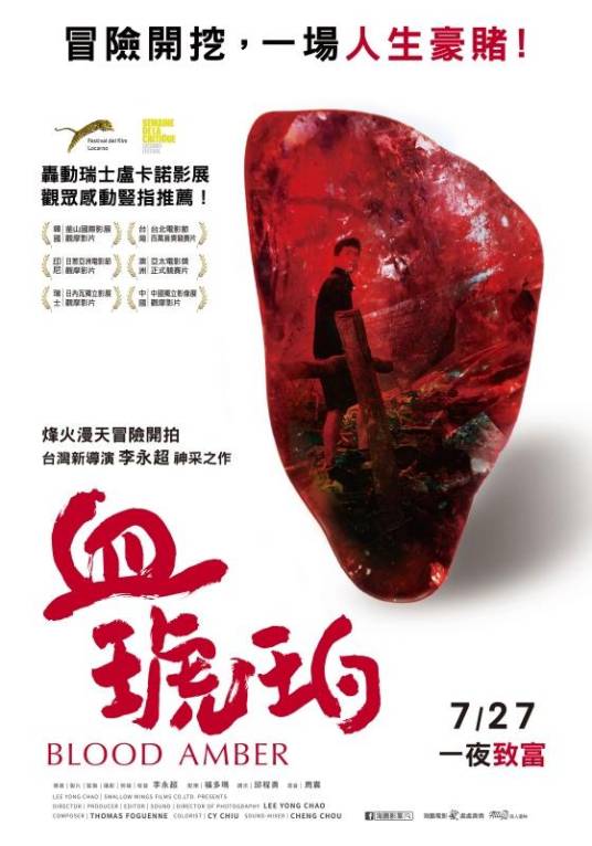 血琥珀（李永超执导的纪录片）