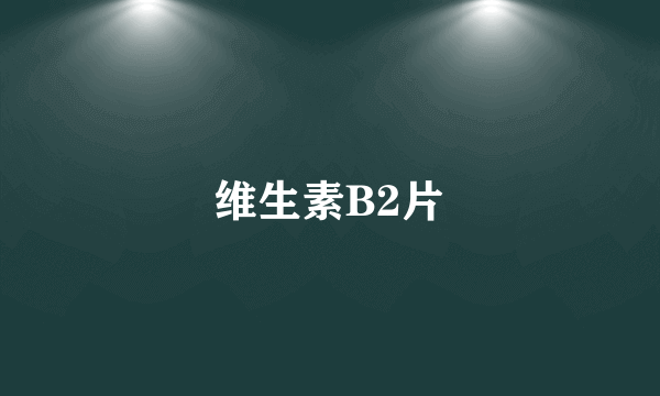 维生素B2片
