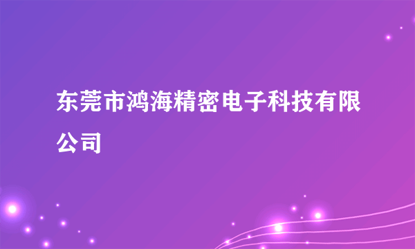 东莞市鸿海精密电子科技有限公司