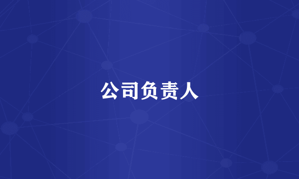 公司负责人