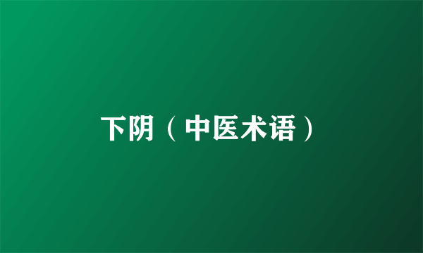 下阴（中医术语）