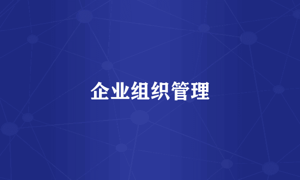 企业组织管理