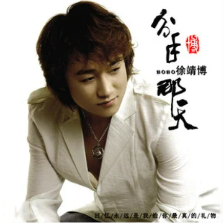 往事只能回味（2009年徐靖博的歌曲）