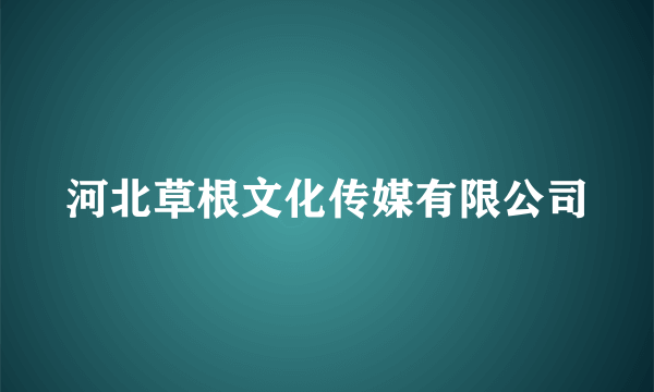河北草根文化传媒有限公司