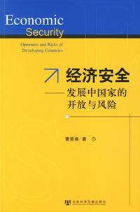 经济安全（2006年社会科学文献出版社出版的图书）