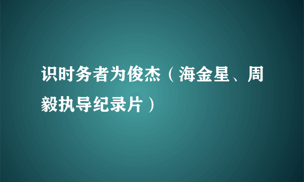 识时务者为俊杰（海金星、周毅执导纪录片）